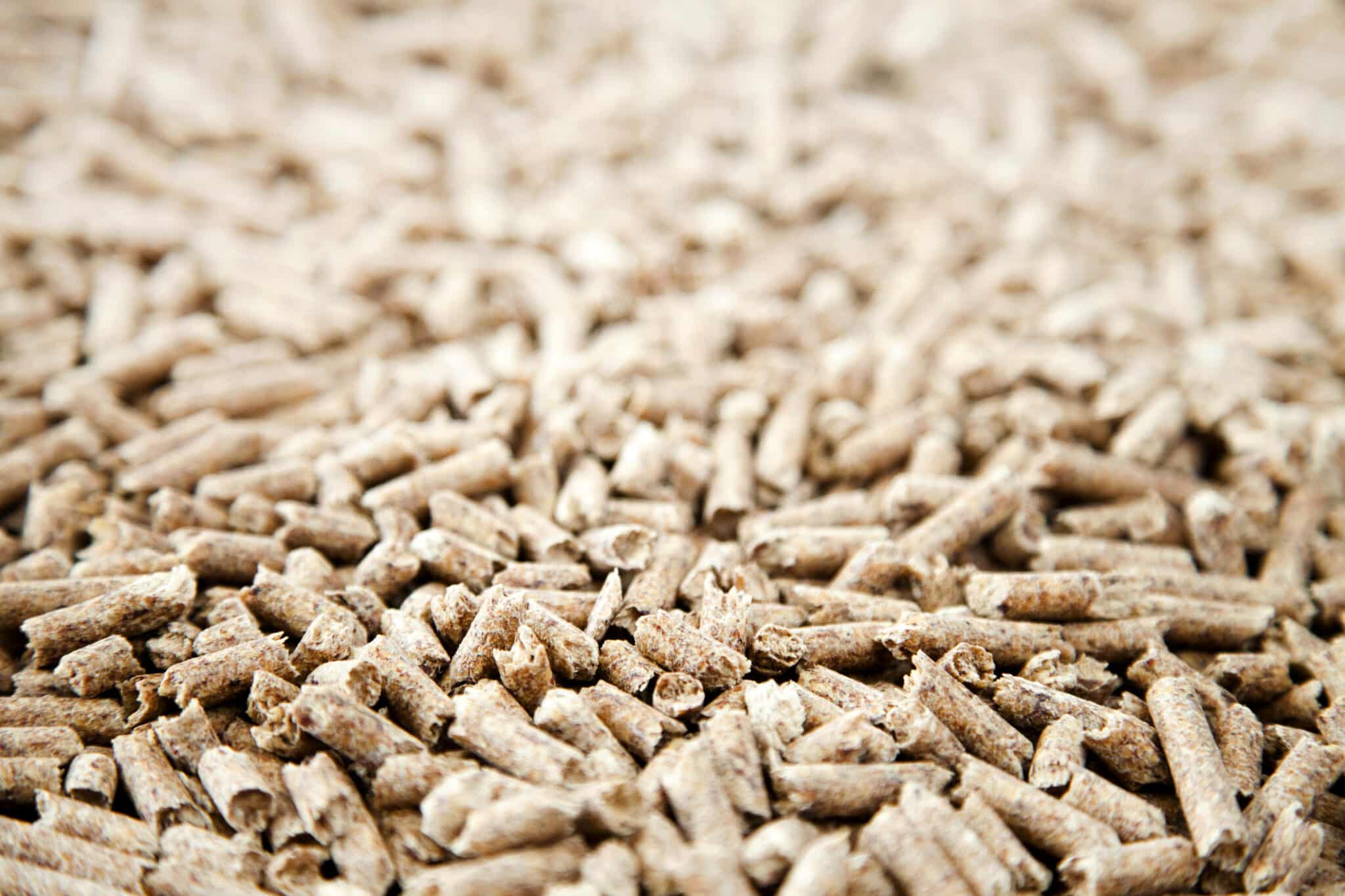 Close-up of wood pellets.